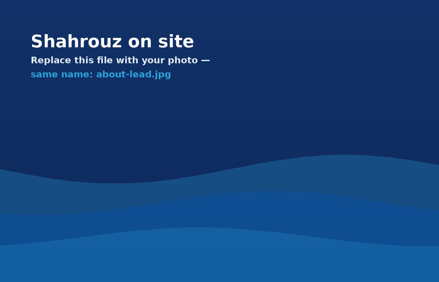 Shahrouz on site
